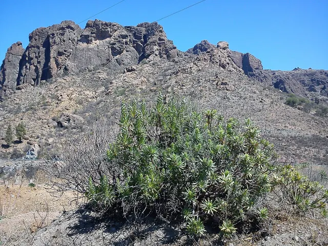Gran Canaria