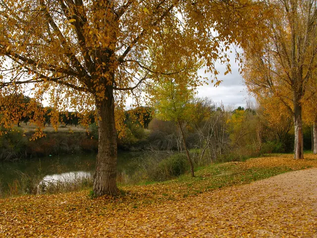 Madrid