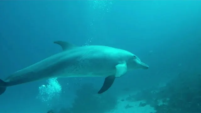Marsa Alam