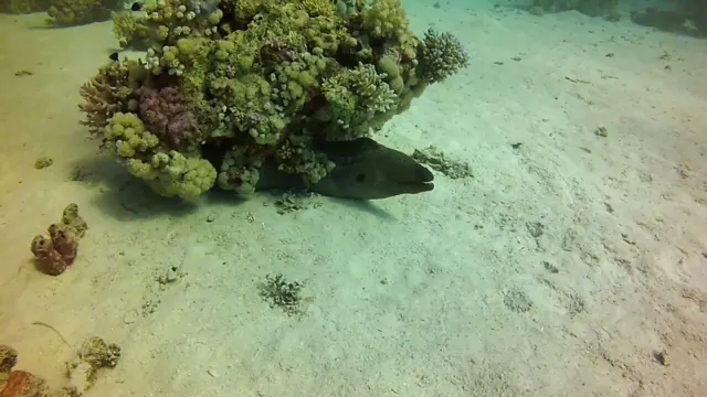 Marsa Alam