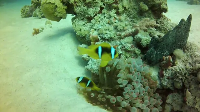 Marsa Alam