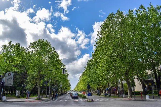 Podgorica
