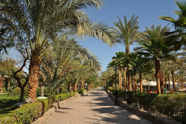 Sharm El Sheikh