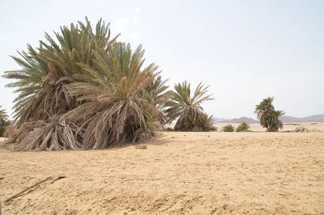 Sharm El Sheikh