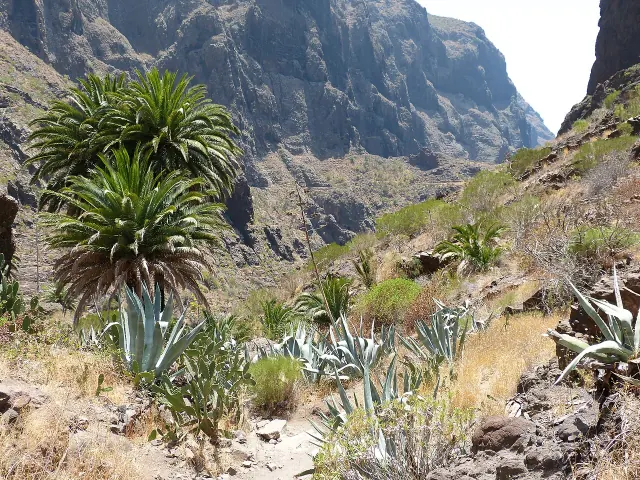 Tenerife